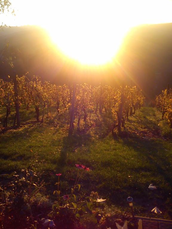 Agroturism Jures Villa Ljutomer Exteriör bild