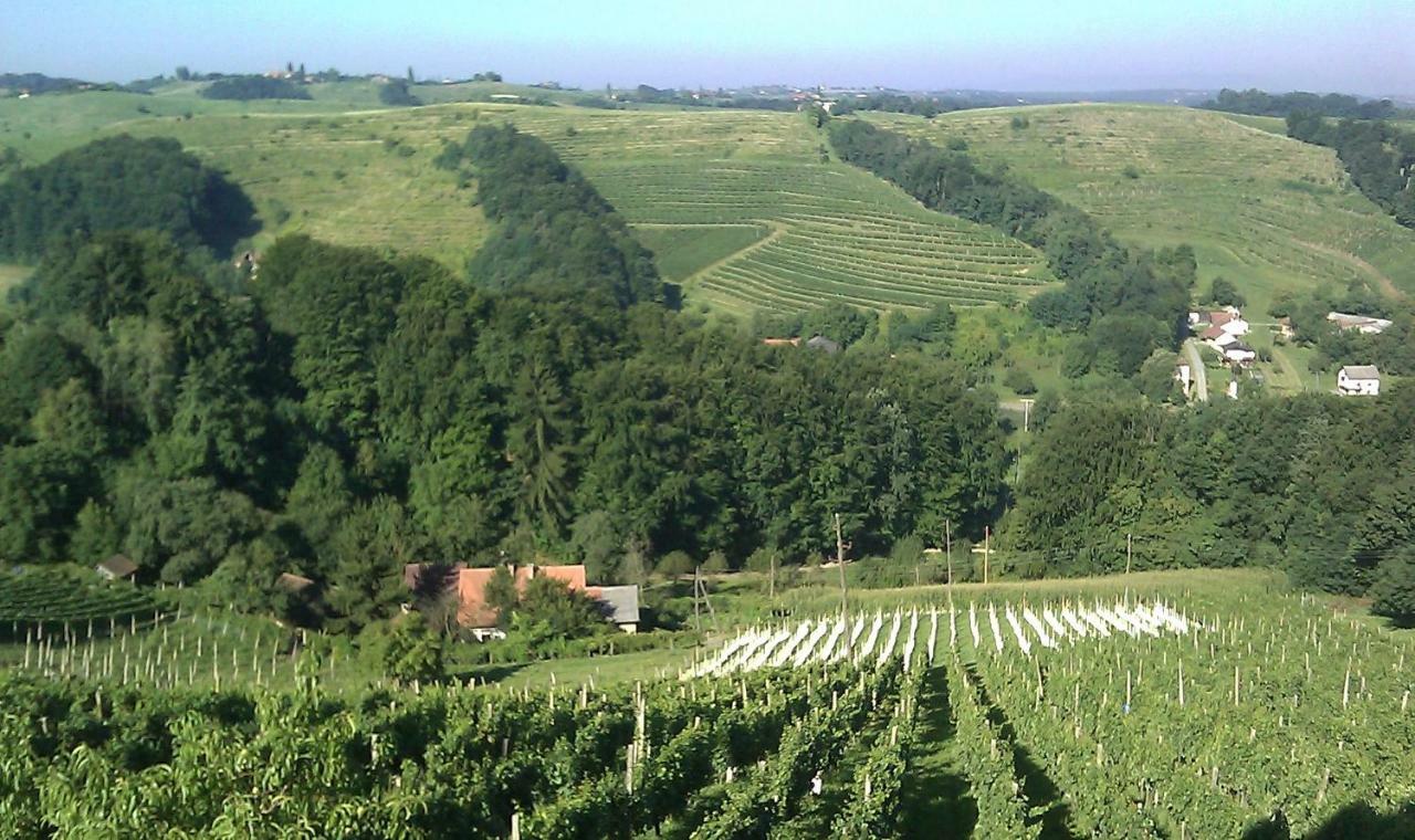 Agroturism Jures Villa Ljutomer Exteriör bild